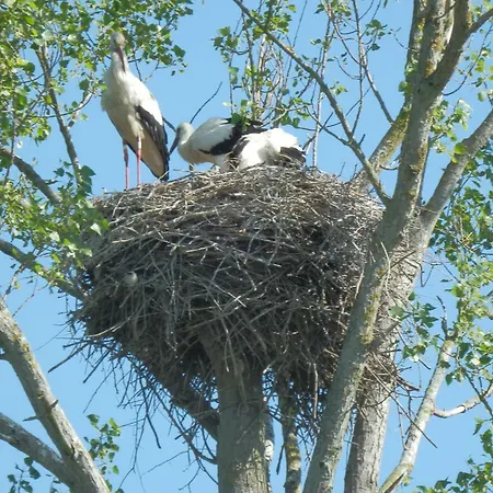 Les Pieds Dans L'eau 아파트